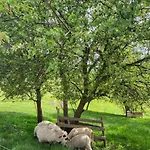 Rindalphorn Mit Sauna In Laendlicher Idylle Missen-Wilhams
