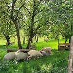 Rindalphorn Mit Sauna In Laendlicher Idylle Feriehus Missen-Wilhams