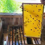 Rindalphorn Mit Sauna In Laendlicher Idylle Prázdninový dům