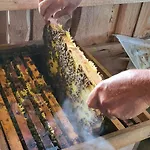 Rindalphorn Mit Sauna In Laendlicher Idylle Missen-Wilhams