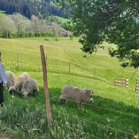 Rindalphorn Mit Sauna In Laendlicher Idylle *