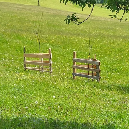 Rindalphorn Mit Sauna In Laendlicher Idylle