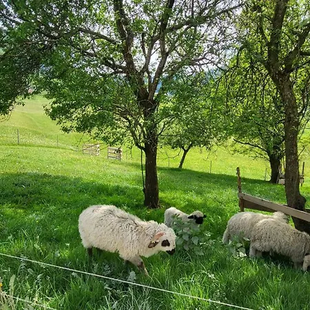 Rindalphorn Mit Sauna In Laendlicher Idylle * Missen-Wilhams