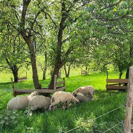 Rindalphorn Mit Sauna In Laendlicher Idylle Nyaraló Missen-Wilhams