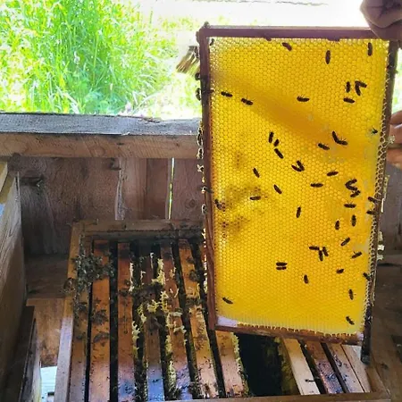 Rindalphorn Mit Sauna In Laendlicher Idylle Nyaraló