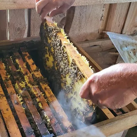 Rindalphorn Mit Sauna In Laendlicher Idylle Missen-Wilhams