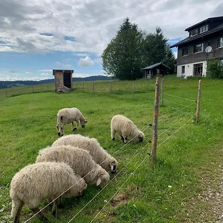 Rindalphorn Mit Sauna In Laendlicher Idylle Nyaraló Missen-Wilhams