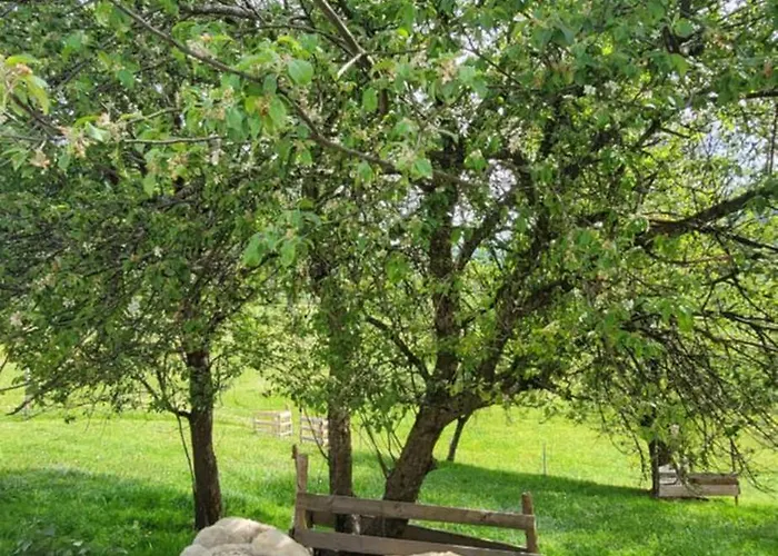 Rindalphorn Mit Sauna In Laendlicher Idylle מיסן-וילהאמס