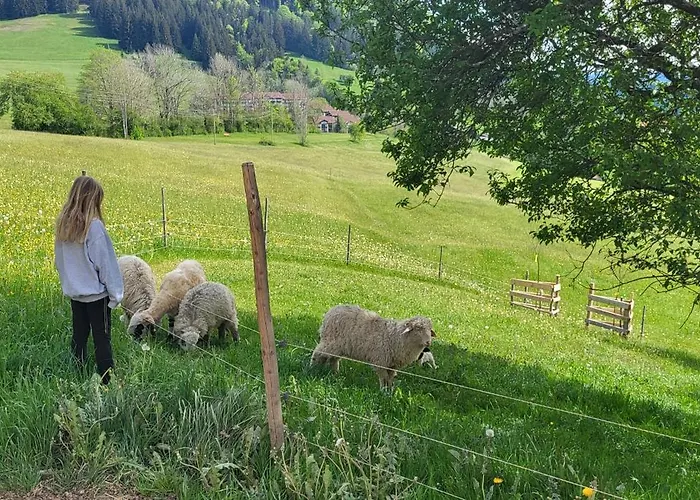 Rindalphorn Mit Sauna In Laendlicher Idylle *