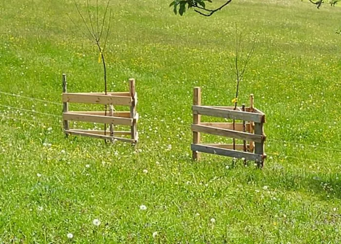 Rindalphorn Mit Sauna In Laendlicher Idylle