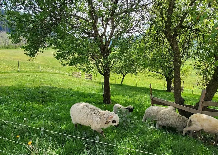 Rindalphorn Mit Sauna In Laendlicher Idylle * מיסן-וילהאמס