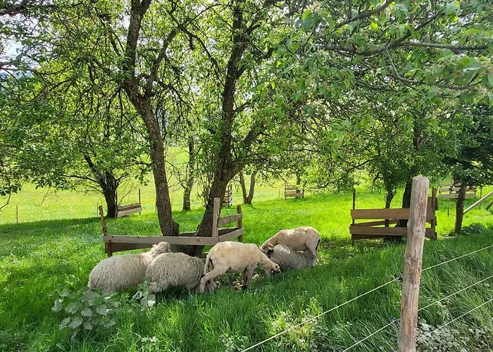 Rindalphorn Mit Sauna In Laendlicher Idylle בית נופש מיסן-וילהאמס
