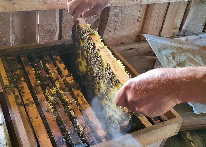 Rindalphorn Mit Sauna In Laendlicher Idylle מיסן-וילהאמס